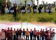 Hasil Panen Capai 1,3 Ton per Borong, Padi Thailand Jumbo Jadi Harapan Baru Petani Sambas