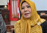Anggota DPRD Sambas Minta Pemerintah Daerah Gerak Cepat Tangani Karhutla